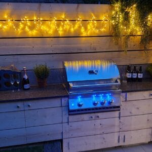 Whistler Burford 3 Grill - Image 6